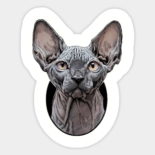 Look at me sphynx cat Sticker